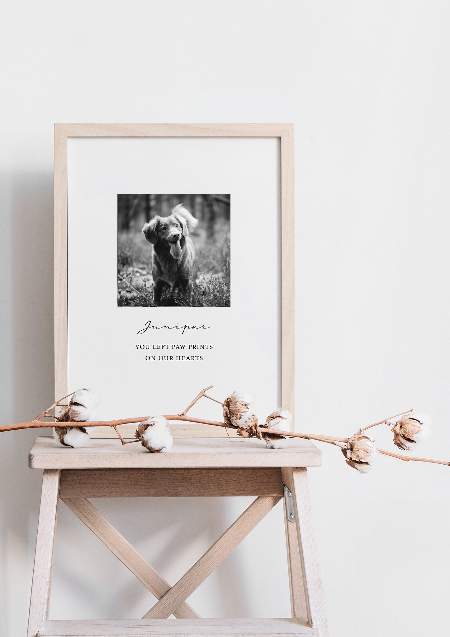 Custom pet memorial gift,Personalized pet bereavement gift,Custom pet remembrance gift,In memory photo gift,Sympathy gift,Condolence for pet